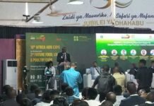 Africa Agri Expo and FLIP 2026 open in Tanzania with focus on investment, technology and food production