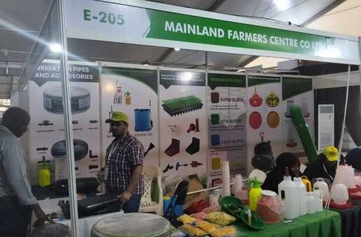 AAE, FLIP event in TZ