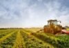 El Niño Threatens to Expose Cracks in South Africa’s Agricultural Supply Chain