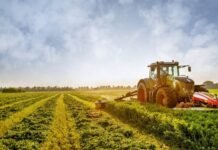 El Niño Threatens to Expose Cracks in South Africa’s Agricultural Supply Chain