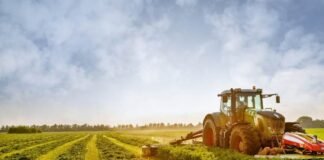 El Niño Threatens to Expose Cracks in South Africa’s Agricultural Supply Chain