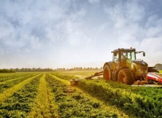 El Niño Threatens to Expose Cracks in South Africa’s Agricultural Supply Chain