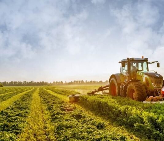 El Niño Threatens to Expose Cracks in South Africa’s Agricultural Supply Chain