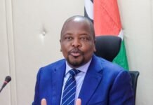 Kenya considering duty-free import of 3 million tonnes of maize as production hits seven-year low