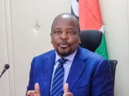 Kenya considering duty-free import of 3 million tonnes of maize as production hits seven-year low