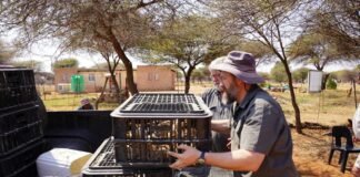 Intercultural partnership launches layer-hen project