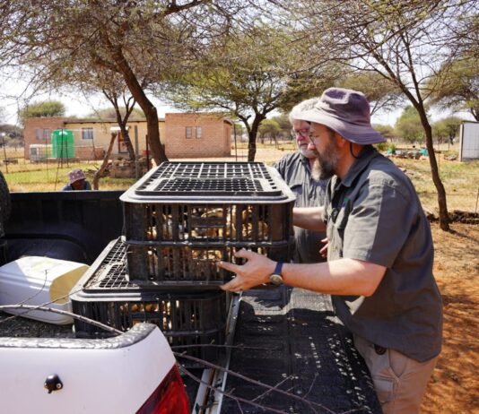 Intercultural partnership launches layer-hen project