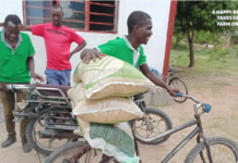 Empowering smallholder farmers: how EFF is building resilient agricultural communities across Africa