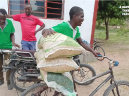 Empowering smallholder farmers: how EFF is building resilient agricultural communities across Africa