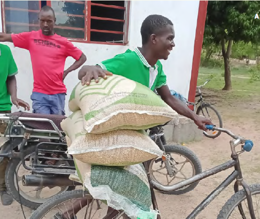 Empowering smallholder farmers: how EFF is building resilient agricultural communities across Africa