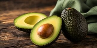 Ecovado and Alfa Laval Unveil Avocado Oil Plant to Strengthen South Africa’s Value Addition Drive