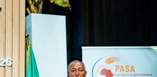 Ethiopia targets sorghum as new engine of investment, trade and jobs