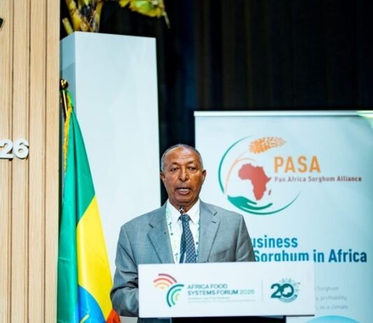 Ethiopia targets sorghum as new engine of investment, trade and jobs