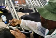 Farmers Welcome FMD Vaccine Price Relief, Warn That Testing Costs Pose Identical Risk