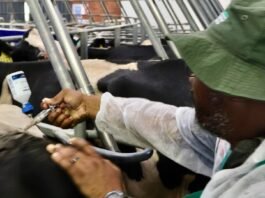 Farmers Welcome FMD Vaccine Price Relief, Warn That Testing Costs Pose Identical Risk