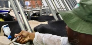 Farmers Welcome FMD Vaccine Price Relief, Warn That Testing Costs Pose Identical Risk
