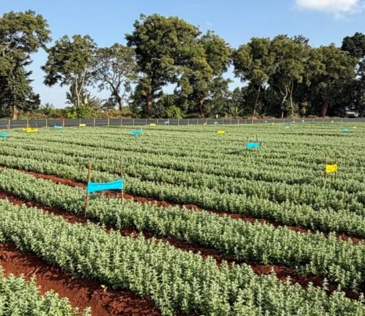 Absolute takes its AI-led biological agriculture platform INERA to Africa, begins commercial operations in Kenya