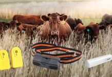 Otto Wireless Becomes Sole Agent for China’s Hunan HKT Technology