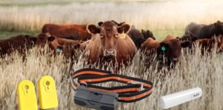 Otto Wireless Becomes Sole Agent for China’s Hunan HKT Technology