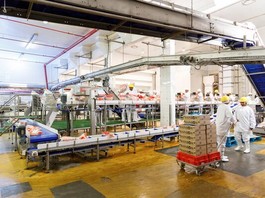 Rainbow Chicken profit soars 102% as lower feed costs, strong volumes drive growth