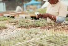 Building beyond the projects: What the Inchanga agroecology hub teaches us about sustainable community partnerships