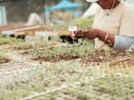 Building beyond the projects: What the Inchanga agroecology hub teaches us about sustainable community partnerships