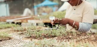 Building beyond the projects: What the Inchanga agroecology hub teaches us about sustainable community partnerships