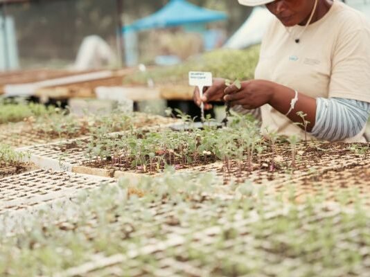 Building beyond the projects: What the Inchanga agroecology hub teaches us about sustainable community partnerships