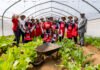 Shoprite Foundation Takes Practical Agriculture Project to Soshanguve School