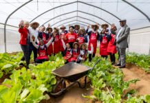 Shoprite Foundation Takes Practical Agriculture Project to Soshanguve School