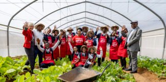 Shoprite Foundation Takes Practical Agriculture Project to Soshanguve School