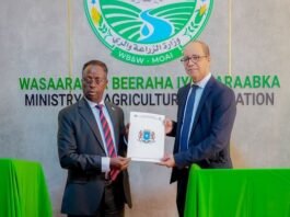 Somalia, IFAD launch $31.22 million programme to support farmers and pastoralists