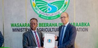 Somalia, IFAD launch $31.22 million programme to support farmers and pastoralists