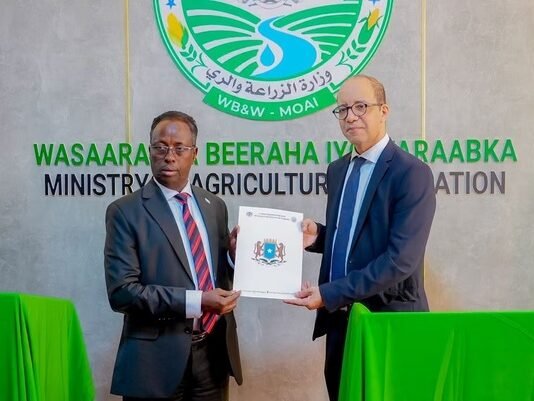Somalia, IFAD launch $31.22 million programme to support farmers and pastoralists