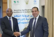 Sudan’s food security project targets 25% productivity increase for 232,000 smallholder farmers