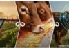 Smarter Feed, Faster Decisions: Improving Quality in Real Time