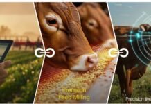 Smarter Feed, Faster Decisions: Improving Quality in Real Time