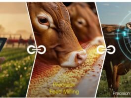 Smarter Feed, Faster Decisions: Improving Quality in Real Time