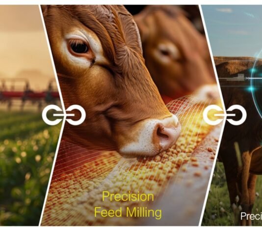 Smarter Feed, Faster Decisions: Improving Quality in Real Time