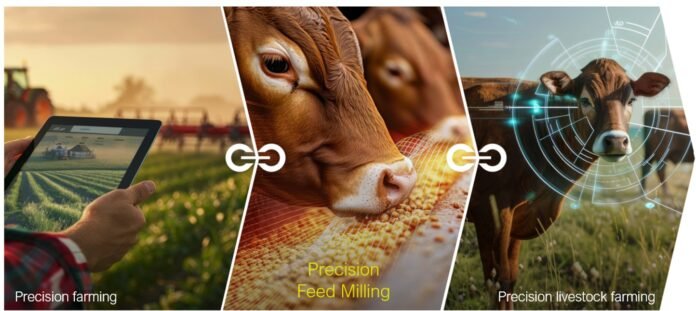 The AFMA Forum 2026 highlights the role of feed manufacturing in food security and the wider food value chain