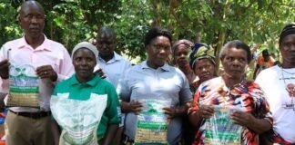 Oilseed farmers in Uganda double yields and income after shifting to commercial farming