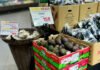 More Than Volume: Westfalia’s Next Play for Avocados in Asia