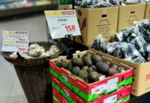 More Than Volume: Westfalia’s Next Play for Avocados in Asia