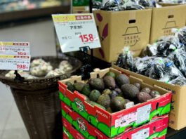 More Than Volume: Westfalia’s Next Play for Avocados in Asia