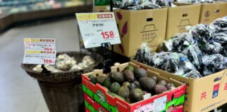More Than Volume: Westfalia’s Next Play for Avocados in Asia