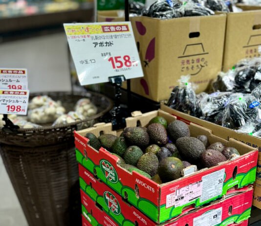 More Than Volume: Westfalia’s Next Play for Avocados in Asia