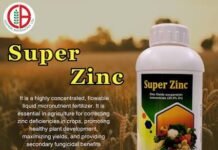Zinc oxide puts zinc at the heart of food supply and human health