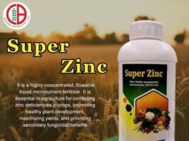 Zinc oxide puts zinc at the heart of food supply and human health