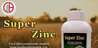 Zinc oxide puts zinc at the heart of food supply and human health