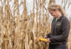 Bayer Strengthens Combined Seed and Crop Protection Portfolio, Sets Stage for Blockbuster Launches